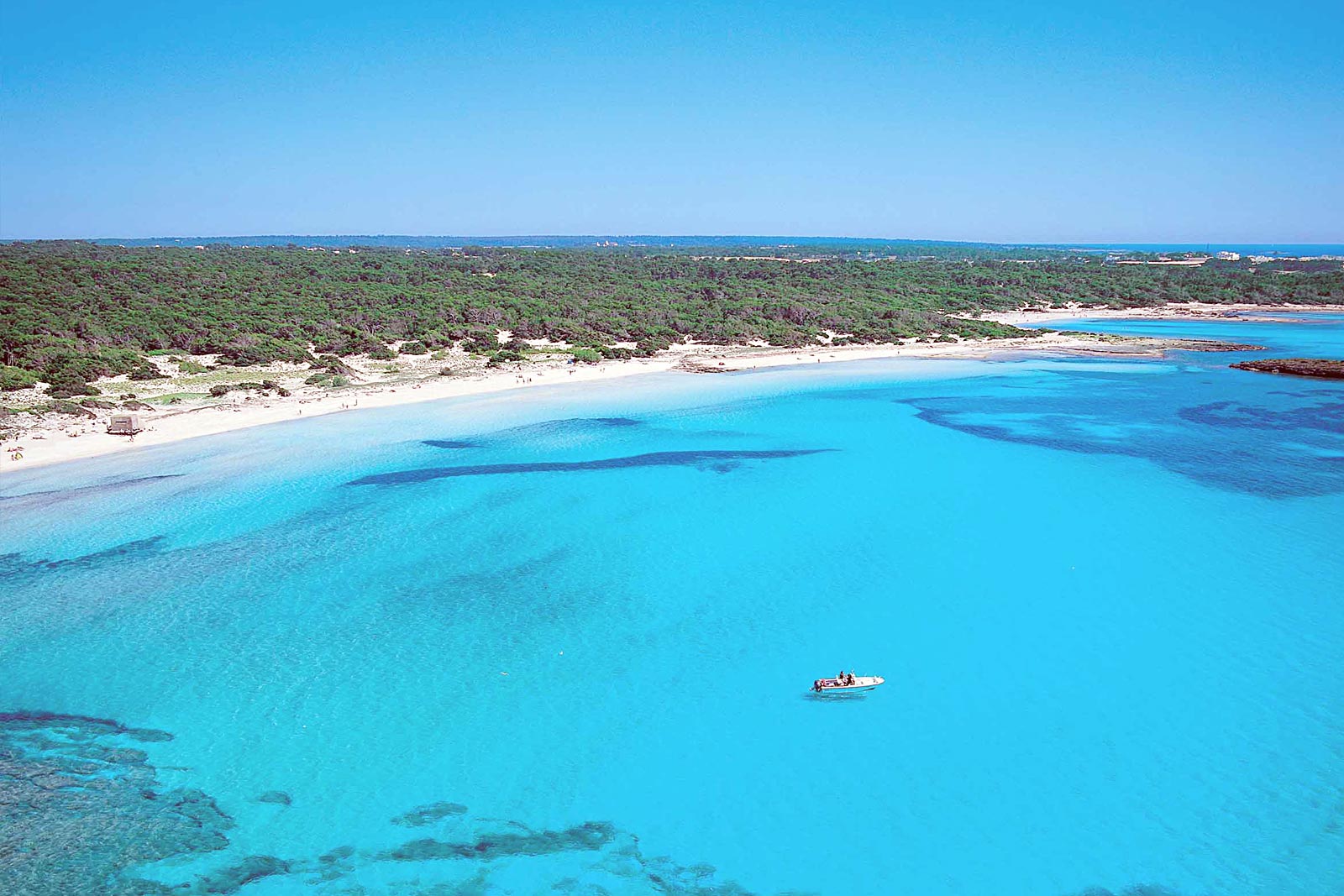 Home Featured Project